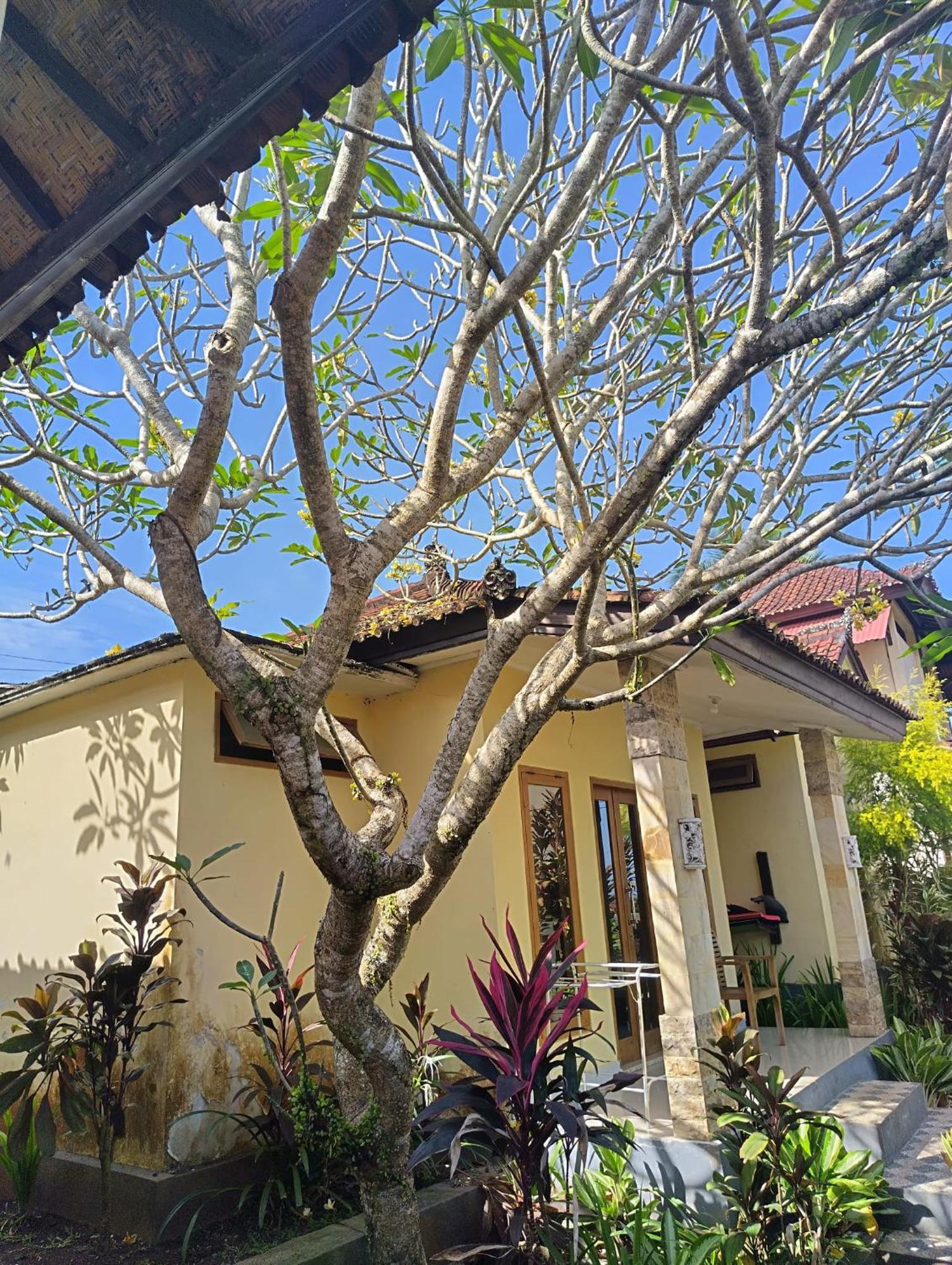 Kirra'S Beach House Pulukan Exterior photo
